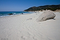 Villasimius - Spiaggia di Porto Sa Ruxi (40D_6750)